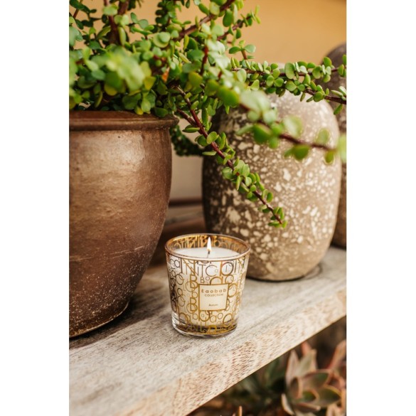 Bougie parfumée My First Baobab Aurum