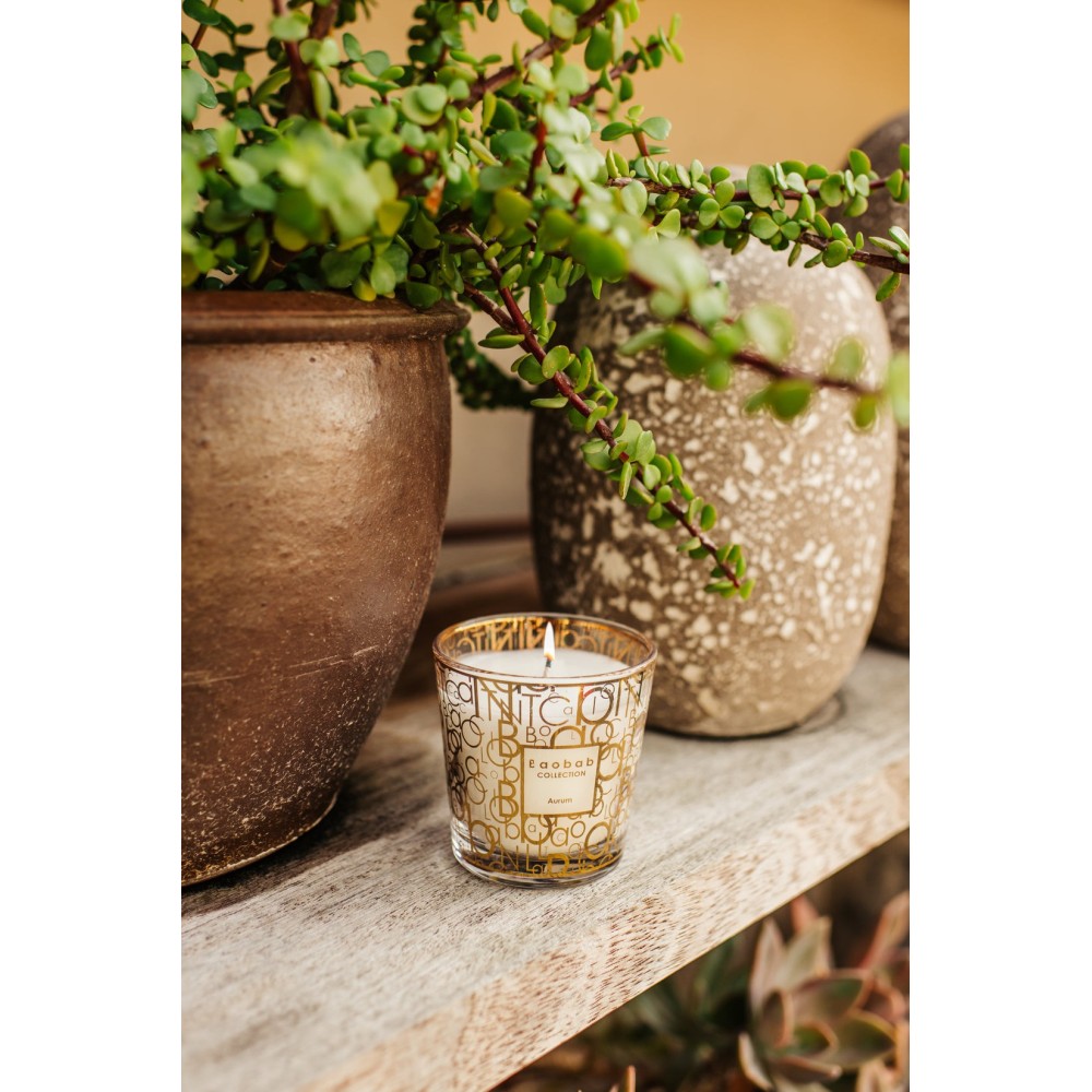 Bougie parfumée My First Baobab Aurum Bougie parfumée My First Baobab Aurum