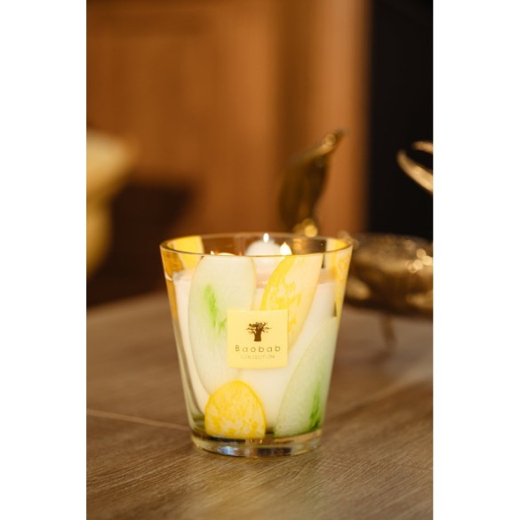 BOUGIE PARFUMÉE MAX16 RIVIERA SANTO SOSPIR