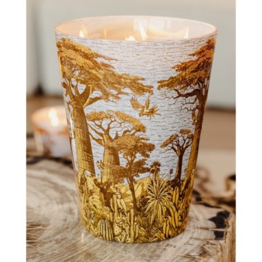BOUGIE PARFUMÉE MAX 10 SACRED TREES COCODY