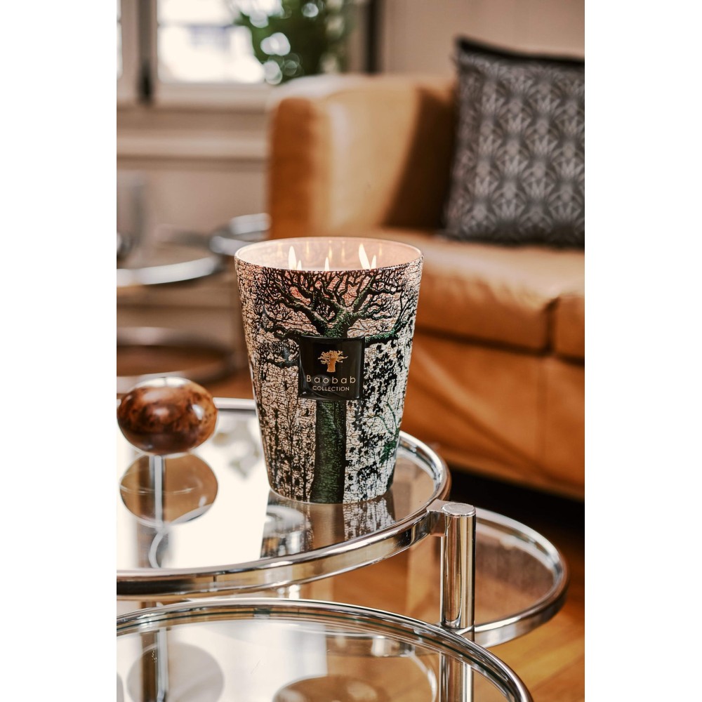 BOUGIE MAX 24 PARFUMÉE SACRED TREES COCODY