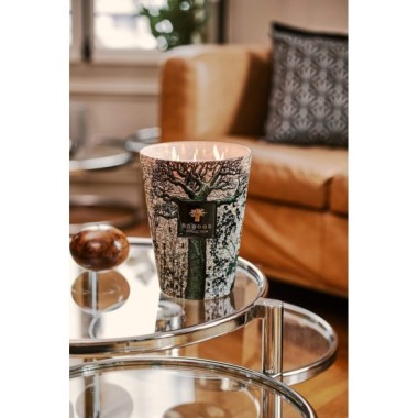 BOUGIE MAX 24 PARFUMÉE SACRED TREES COCODY