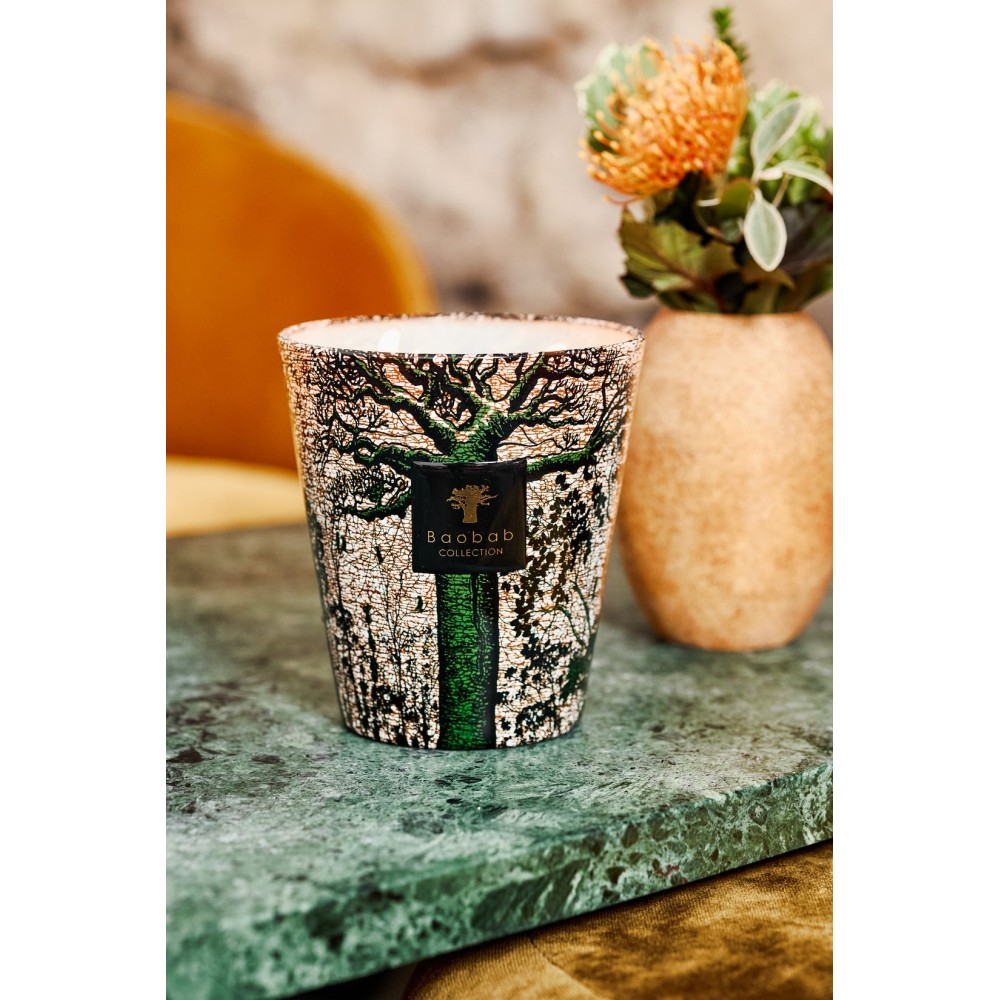 BOUGIE MAX 24 PARFUMÉE SACRED TREES COCODY