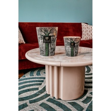 BOUGIE MAX 24 PARFUMÉE SACRED TREES COCODY