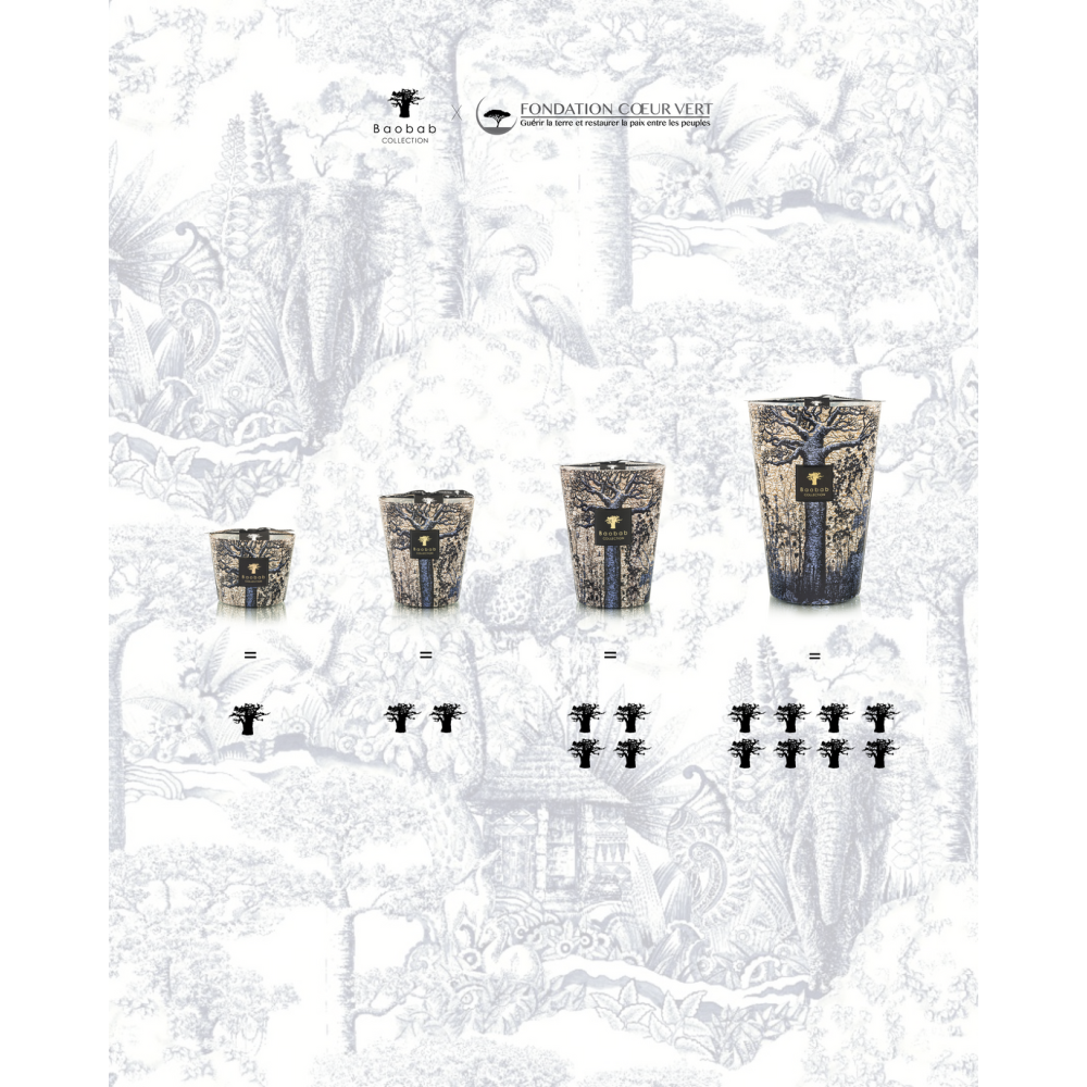 BOUGIE PARFUMÉE MAX10 SACRED TREES SEGUELA