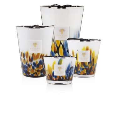 BOUGIE  PARFUMÉE MAX16 RAINFOREST MAYUMBE