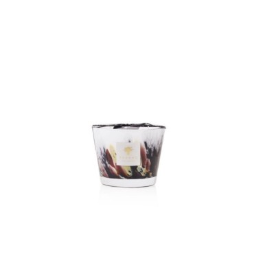 BOUGIE PARFUMÉE MAX10 RAINFOREST TANJUNG