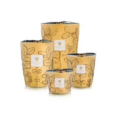 BOUGIE PARFUMÉE MAX10 FOLIA GARRIGUE