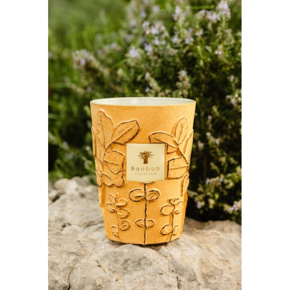 BOUGIE PARFUMÉE MAX24 FOLIA GARRIGUE