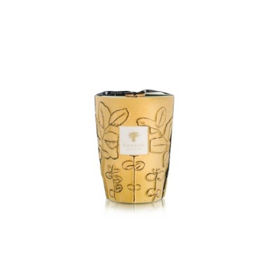 BOUGIE PARFUMÉE MAX24 FOLIA GARRIGUE