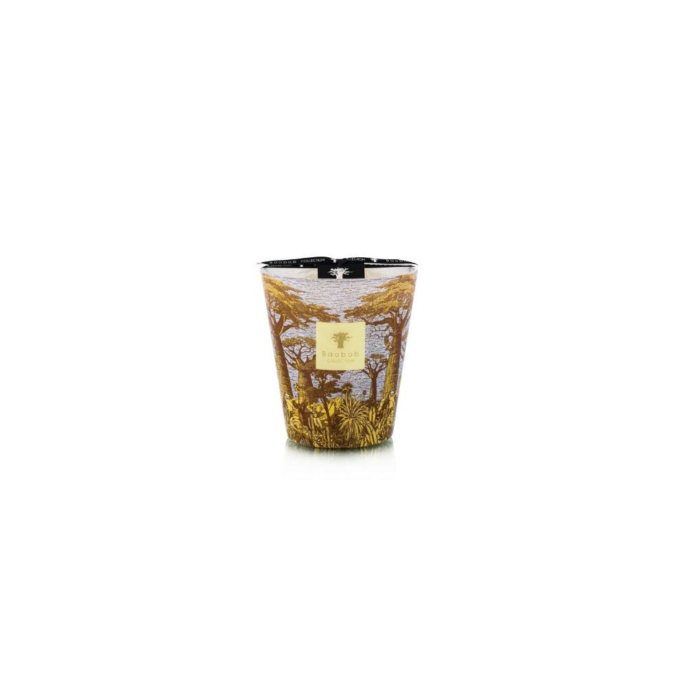 BOUGIE PARFUMÉE MAX 16 SACRED TREES COCODY