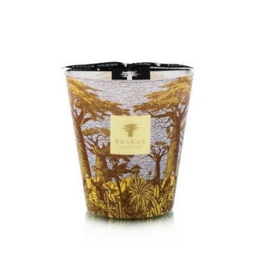 BOUGIE PARFUMÉE MAX 16 SACRED TREES COCODY
