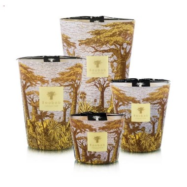 BOUGIE PARFUMÉE MAX 16 SACRED TREES COCODY