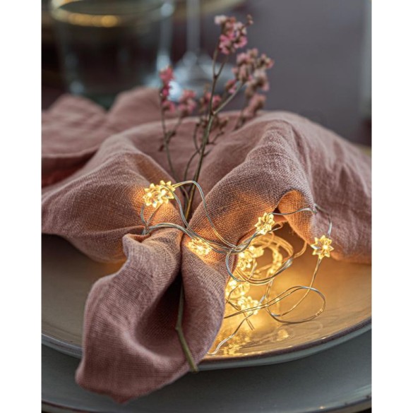 Guirlande lumineuse (étoiles) 40L fil argenté