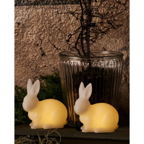 Lapin lumineux