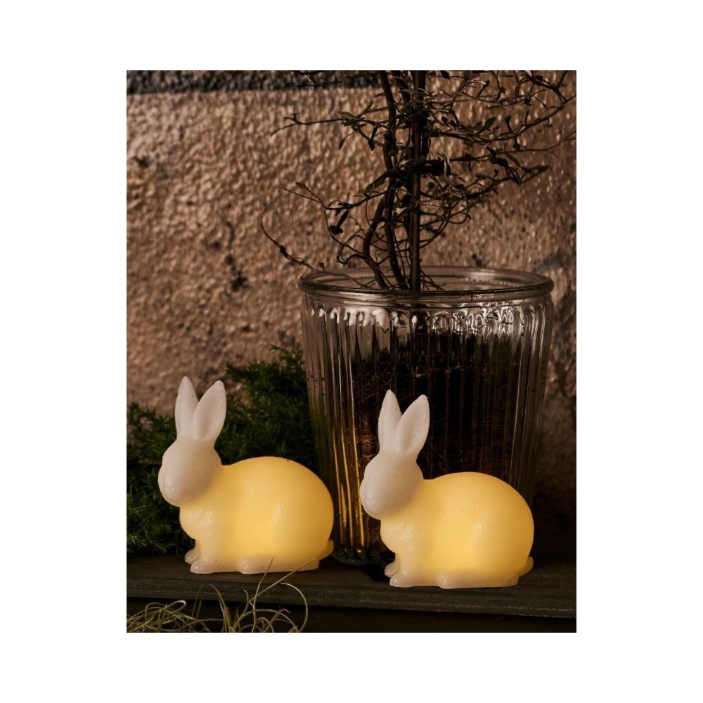 Lapin lumineux Lapin lumineux