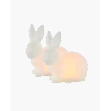 Lapin lumineux