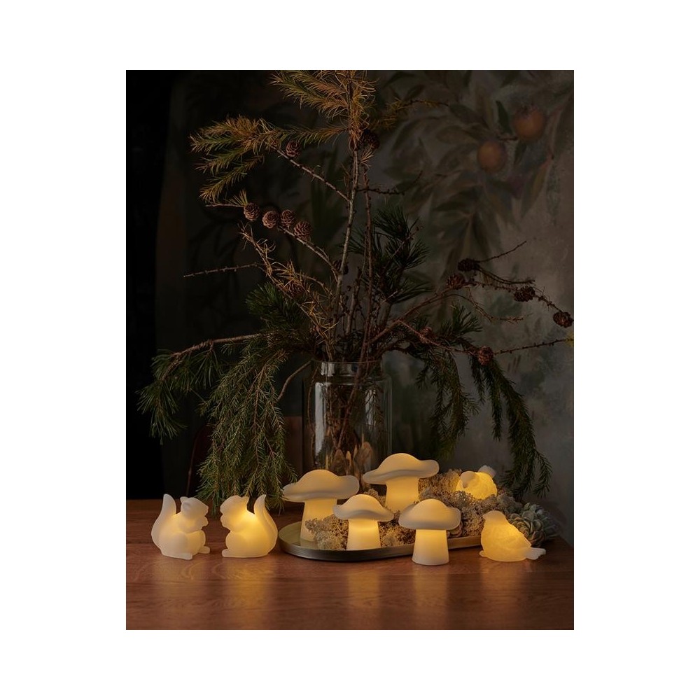 Lapin lumineux