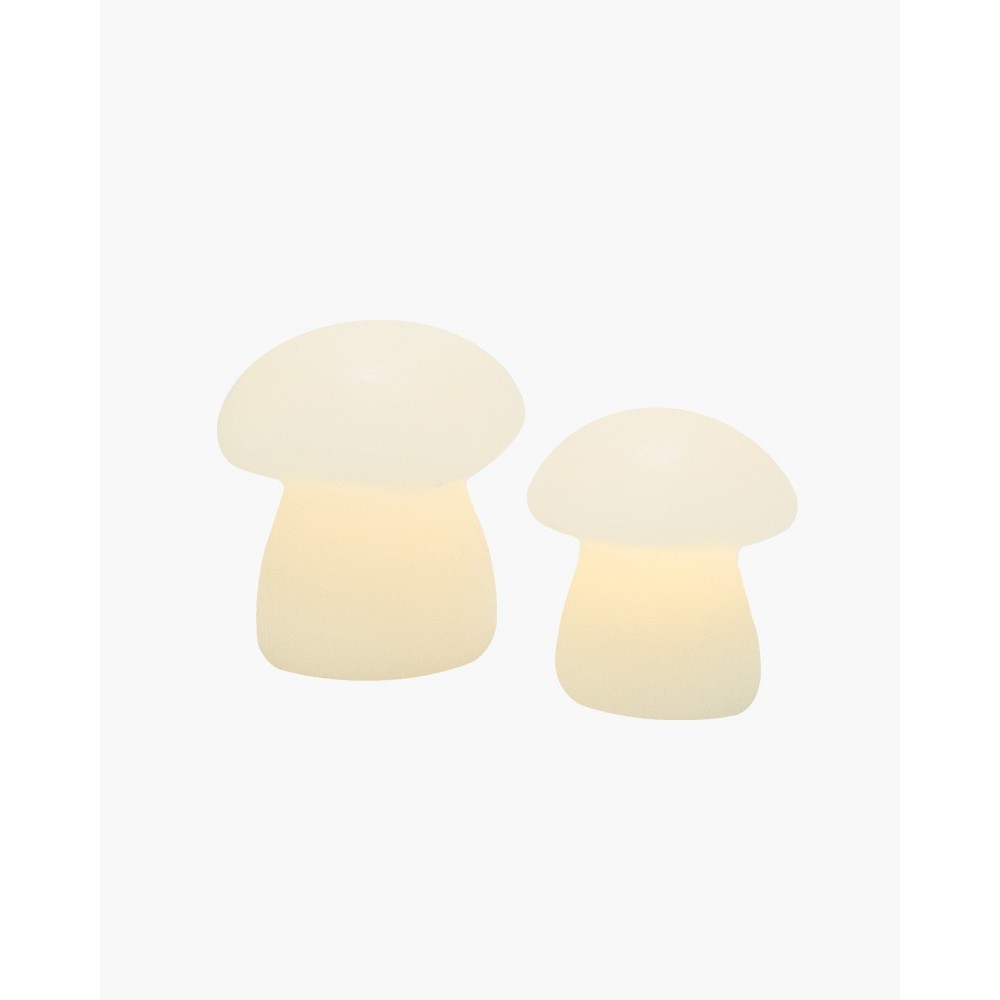 Duo de Champignons lumineux