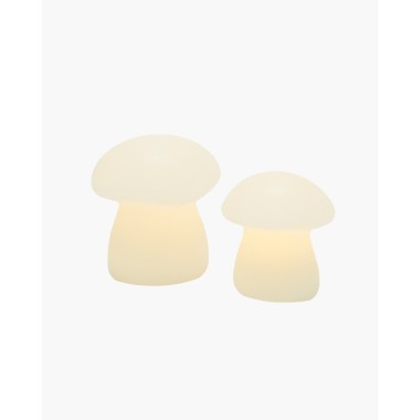 Duo de Champignons lumineux