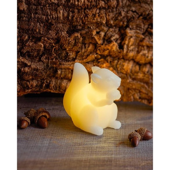 Ecureuil lumineux  - 1 pc