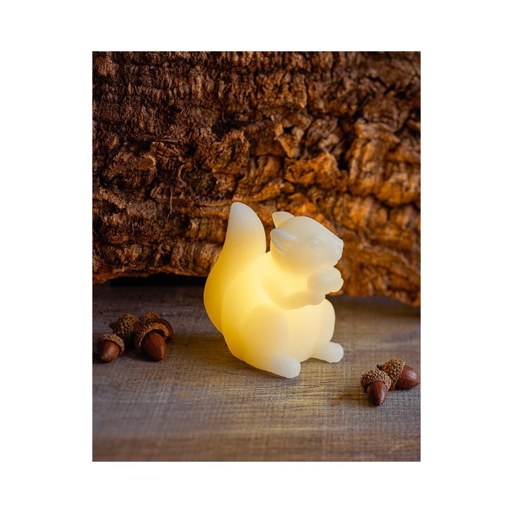 Ecureuil lumineux - 1 pc Ecureuil lumineux - 1 pc
