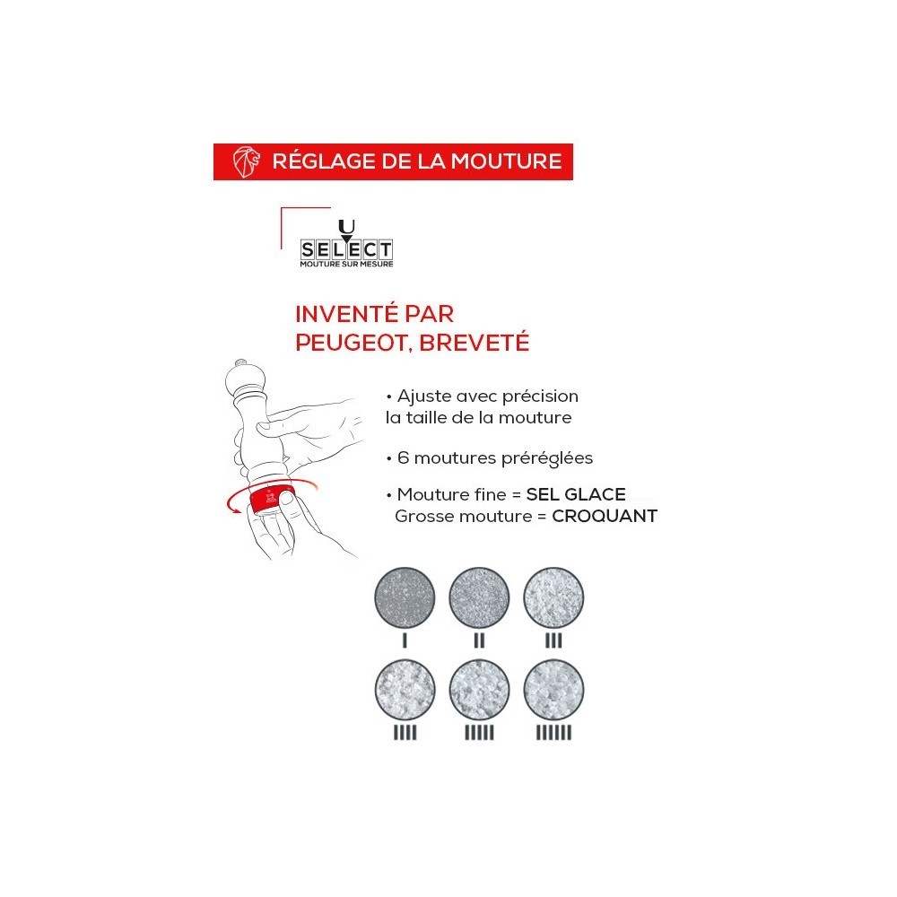 Moulin à sel manuel Paris Chef – Inox, 22 cm