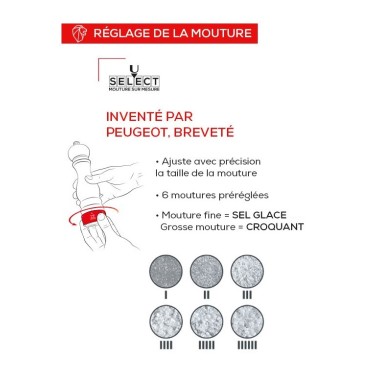 Moulin à sel manuel Paris Chef – Inox, 22 cm
