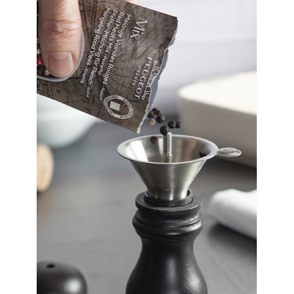 Entonnoir Easy – Inox
