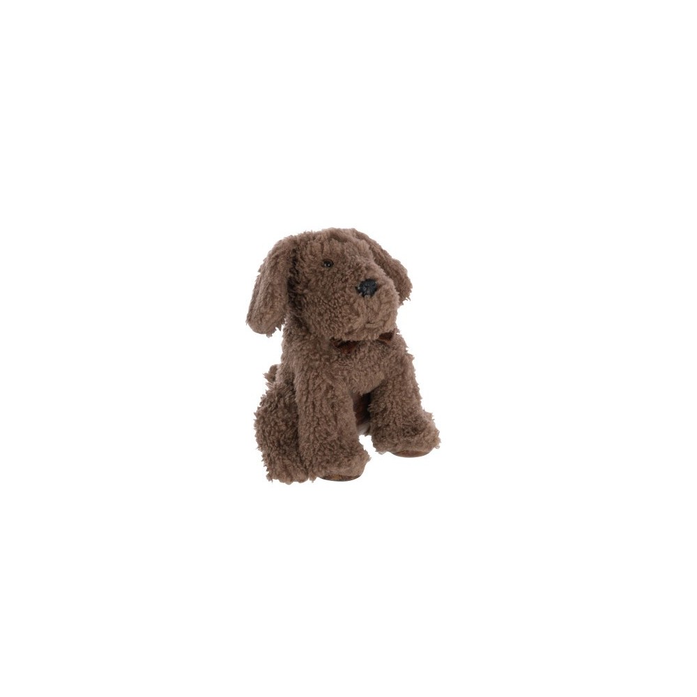 Cale-porte chien – Marron, 20×20×30 cm