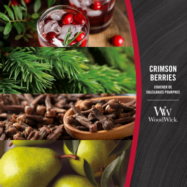 WoodWick Ellipse Baies pourpres