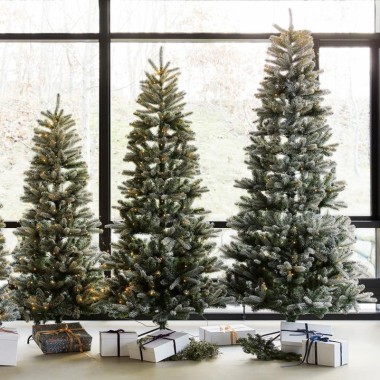 Sapin de Noël Elias - 2,40m