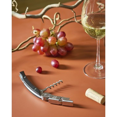 Coffret dégustation pour le vin – Wine Service- Peugeot Saveurs