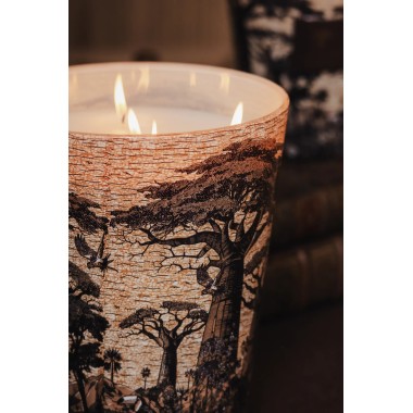 Bougie parfumée Max 24 Mankono Sacred Trees