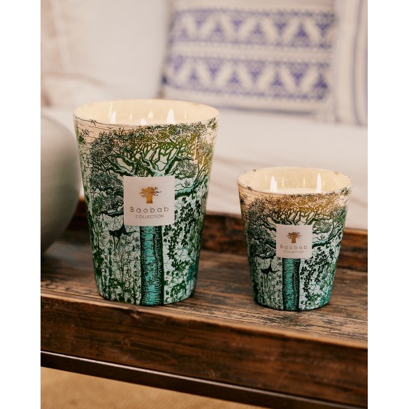 Bougie parfumée Max 24 Sacred Trees - Kamalo