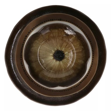 Cycle- Bol à céréales - Grès Dia 16x H3.5cm