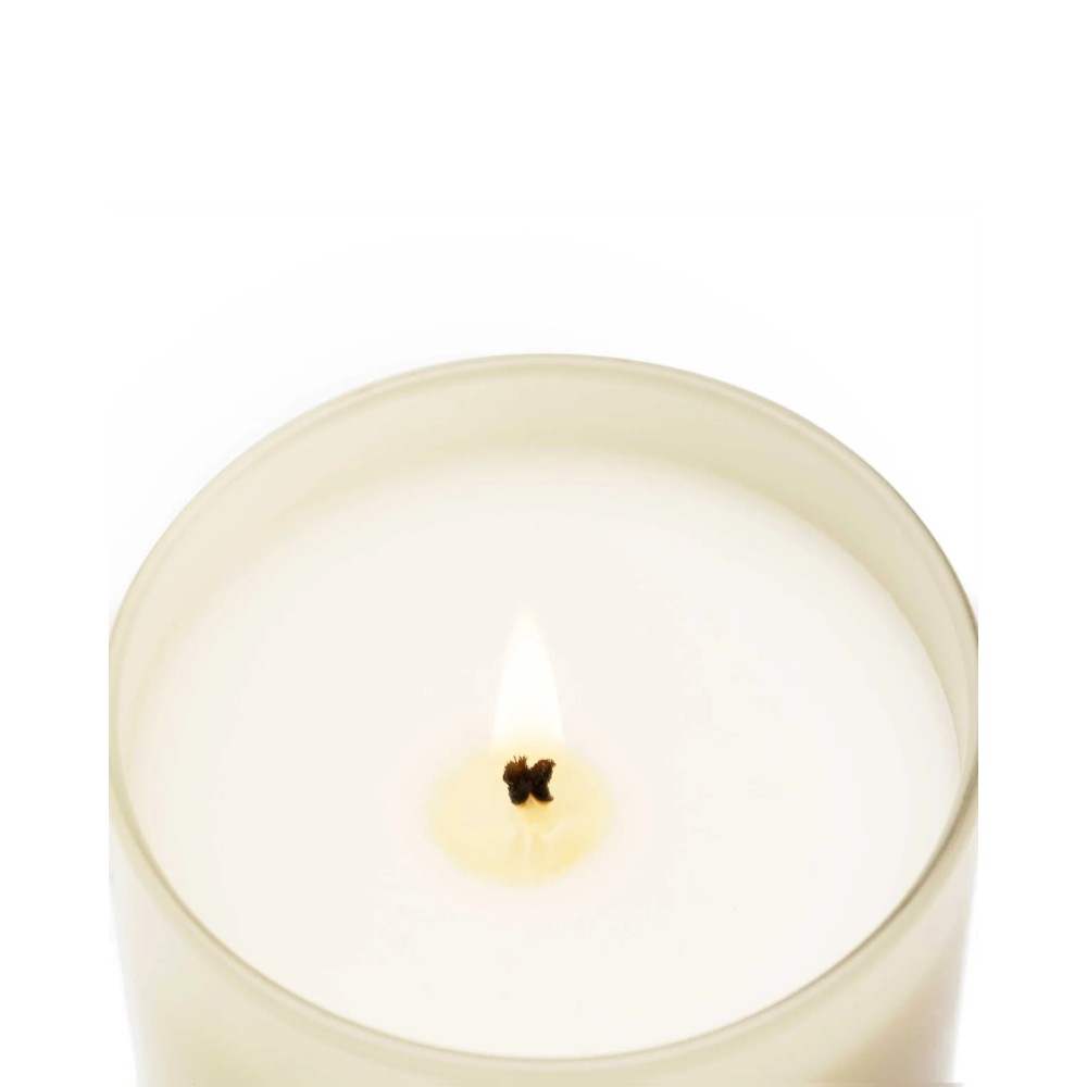 Bougie Velvet Wood - CM 1899 (230gr )