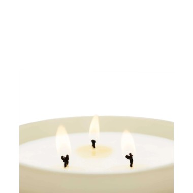 Bougie XL Velvet Wood - CM 1899 (600 gr )