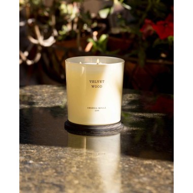 Bougie XL Velvet Wood - CM 1899 (600 gr )