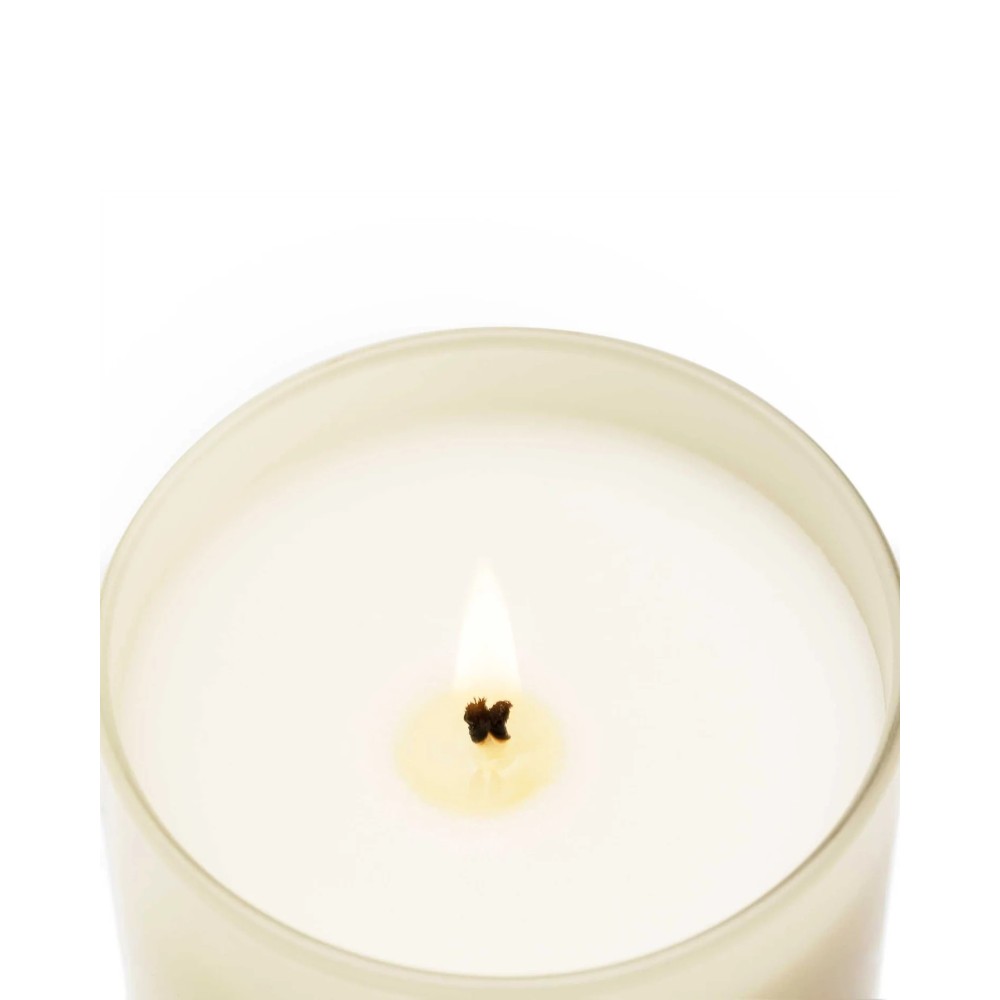 Bougie  Black Orchid & Lily - CM 1899 (230 gr)