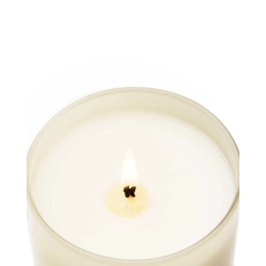 Bougie  Black Orchid & Lily - CM 1899 (230 gr)