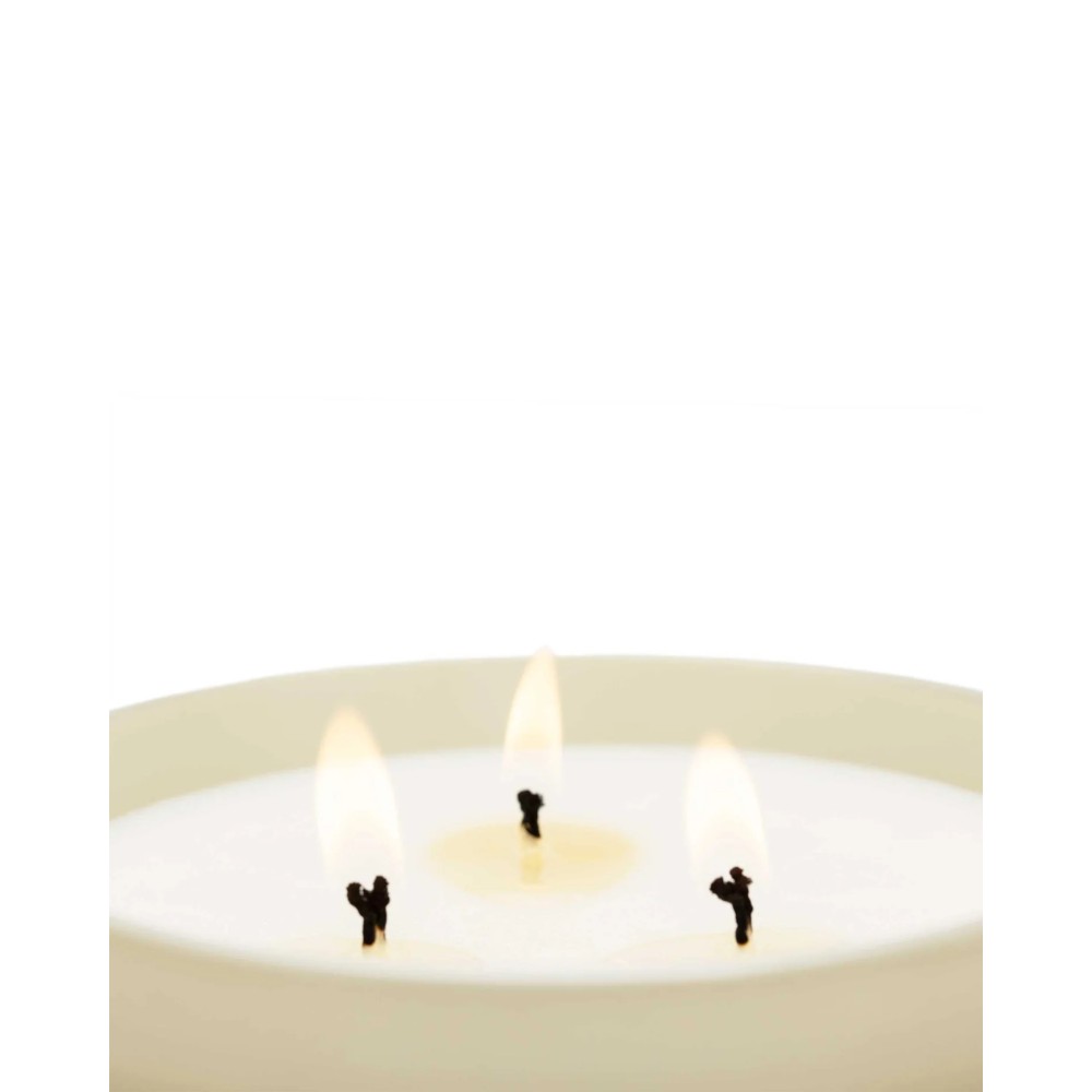 Bougie XL Black Orchid & Lily - CM 1899 (600 gr)