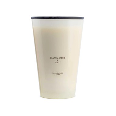 Bougie XXXL Black Orchid & Lily - CM 1899 (7kg)