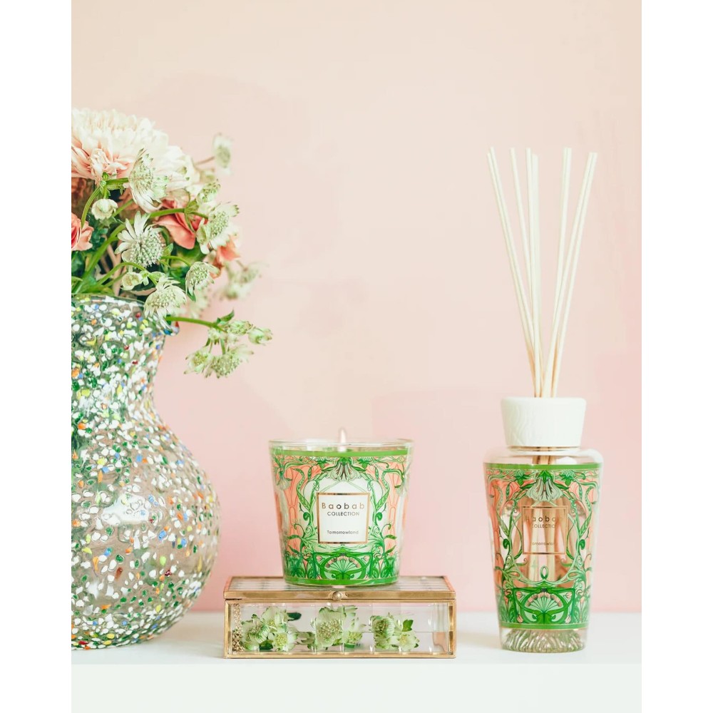Coffret cadeau My first Baobab Tomorrowland 2024