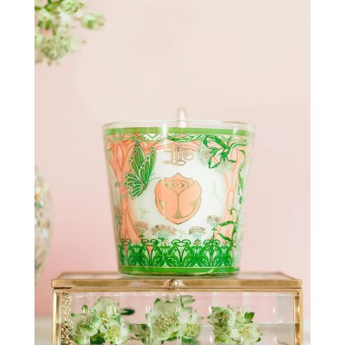 Coffret cadeau My first Baobab Tomorrowland 2024