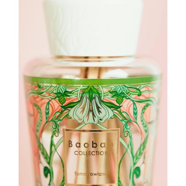 Coffret cadeau My first Baobab Tomorrowland 2024