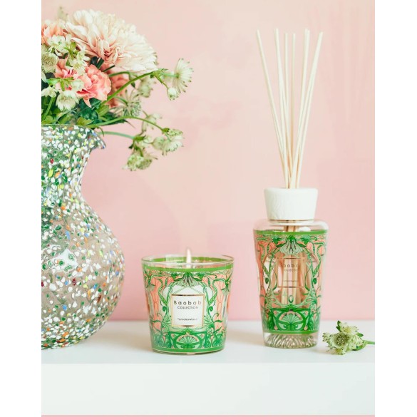 Coffret cadeau My first Baobab Tomorrowland 2024