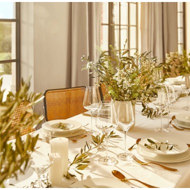 Allure - Verre à vin à vin rouge  57 cl- Degrenne