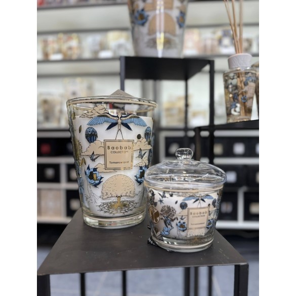 Bougie parfumée Max 10 Tomorrowland 2026