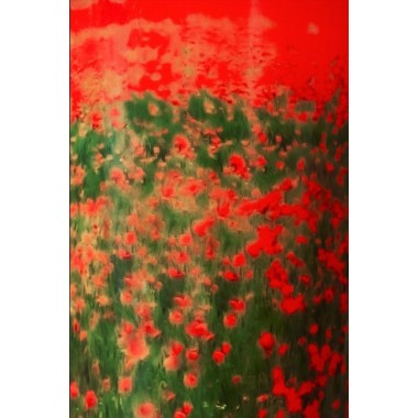 Bougie parfumée Max 16 Arty Flowers - Poppies EDITION LIMITEE